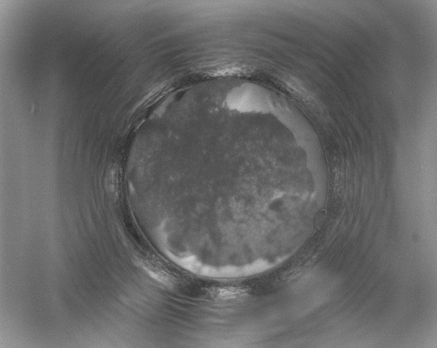 X0000055980165200509092002