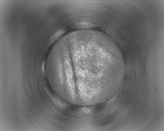 X0000055980166200509092002