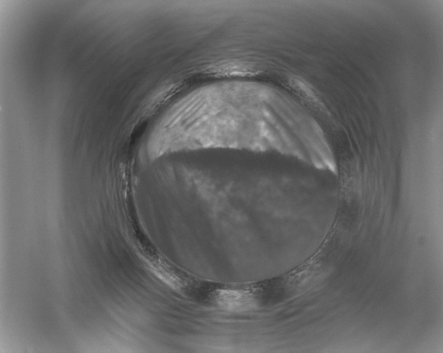 X0000055980167200509092002