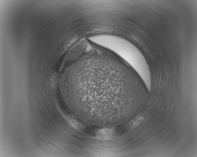 X0000055980168200509092002