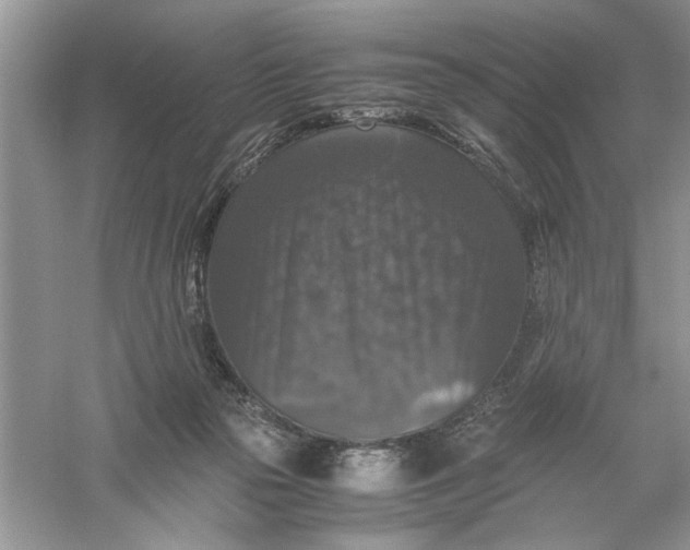 X0000055980169200509092002