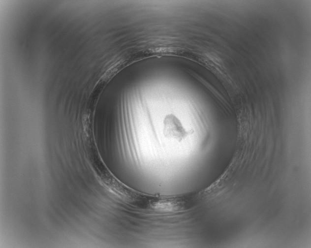 X0000055980171200509092002