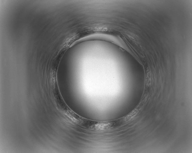 X0000055980172200509092002