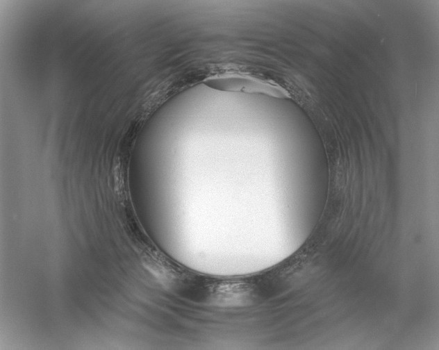 X0000055980173200509092002