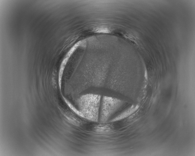 X0000055980175200509092002