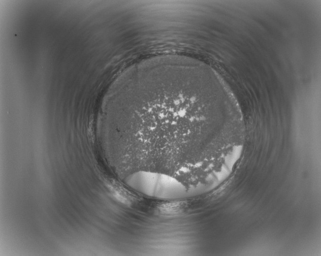 X0000055980178200509092003