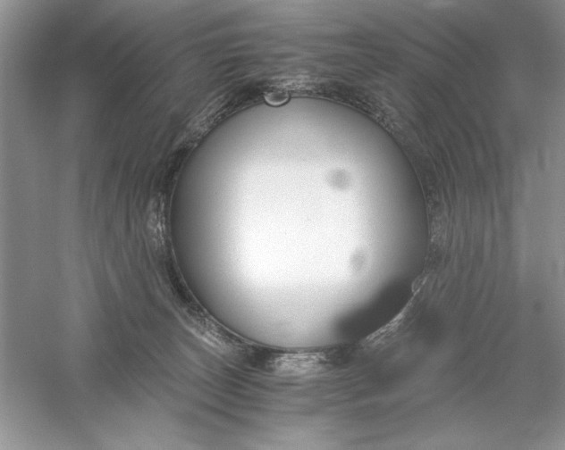 X0000055980179200509092003