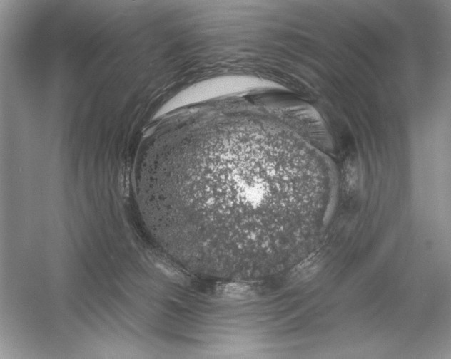 X0000055980180200509092003