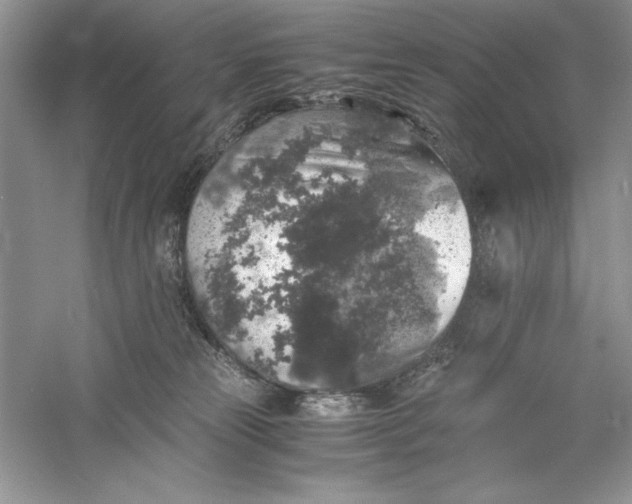 X0000055980181200509092003