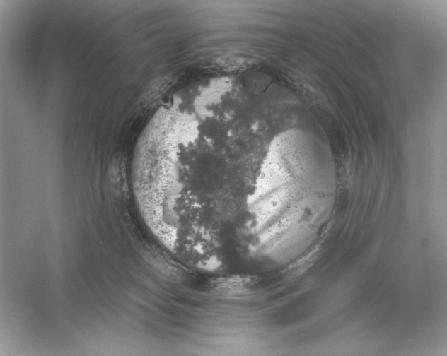 X0000055980182200509092003