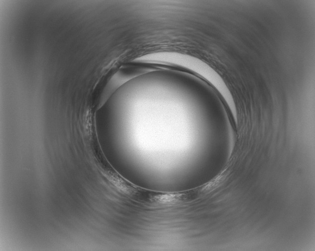 X0000055980184200509092003