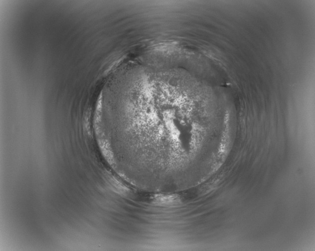 X0000055980185200509092003