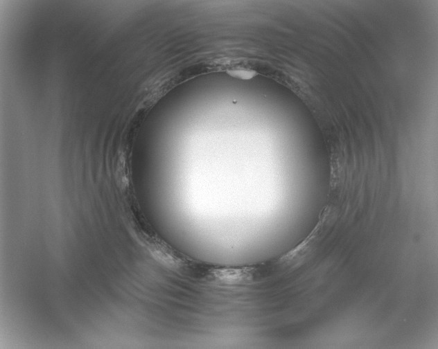 X0000055980187200509092003