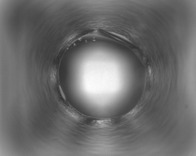 X0000055980188200509092003