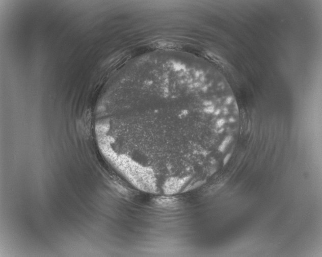 X0000055980189200509092003