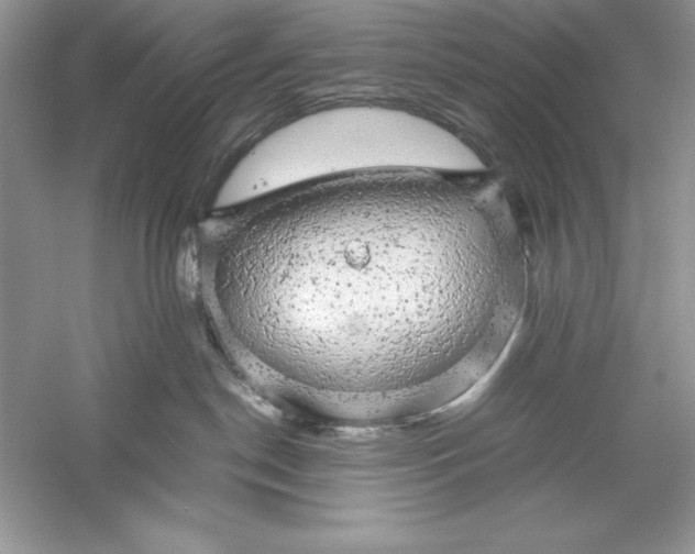 X0000055980190200509092003