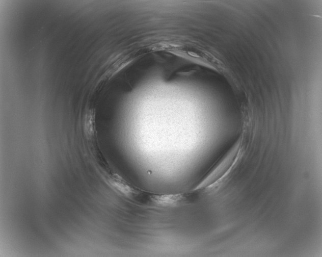 X0000055980191200509092003