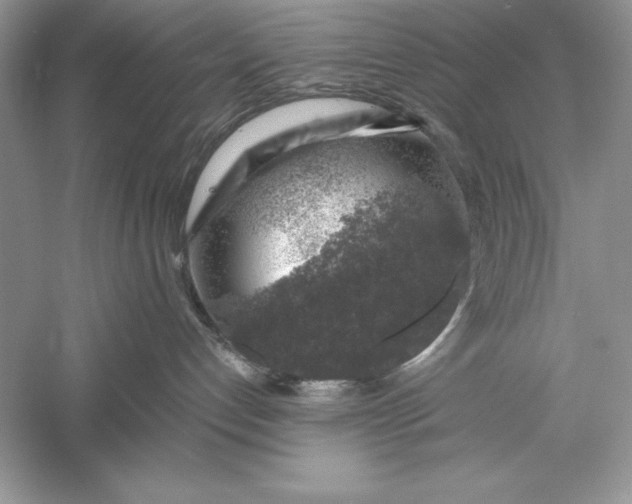 X0000055980192200509092003