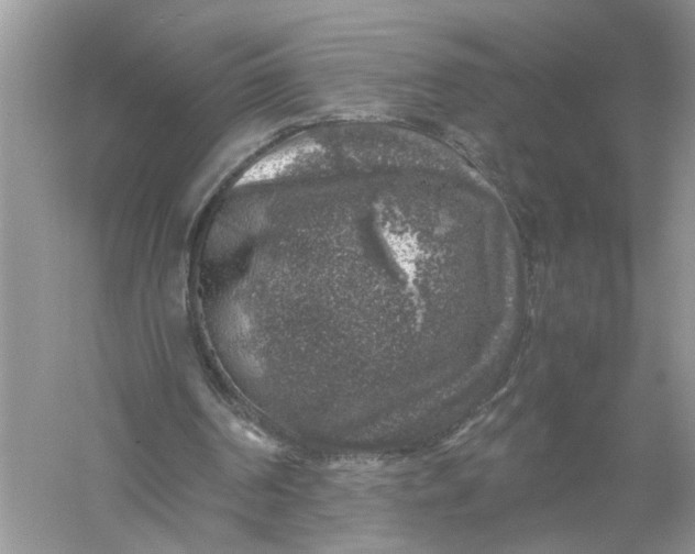 X0000055980194200509092002