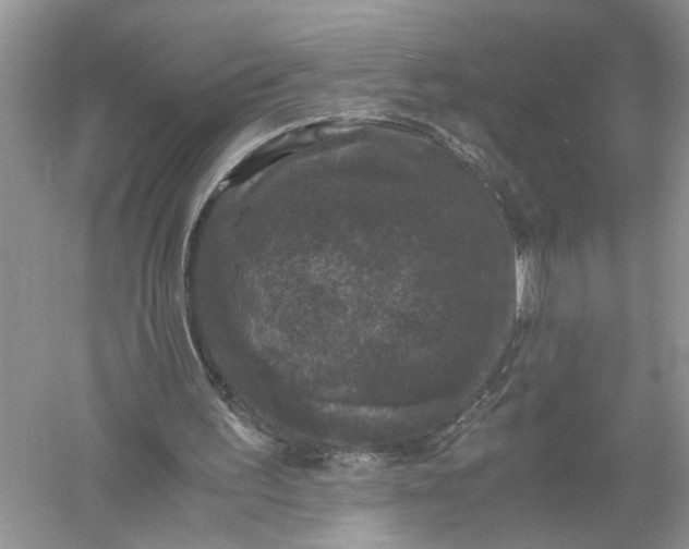 X0000055980195200509092002