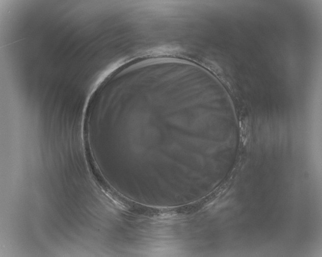 X0000055980196200509092002