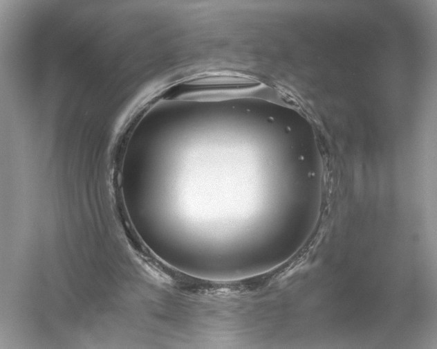 X0000055980197200509092002