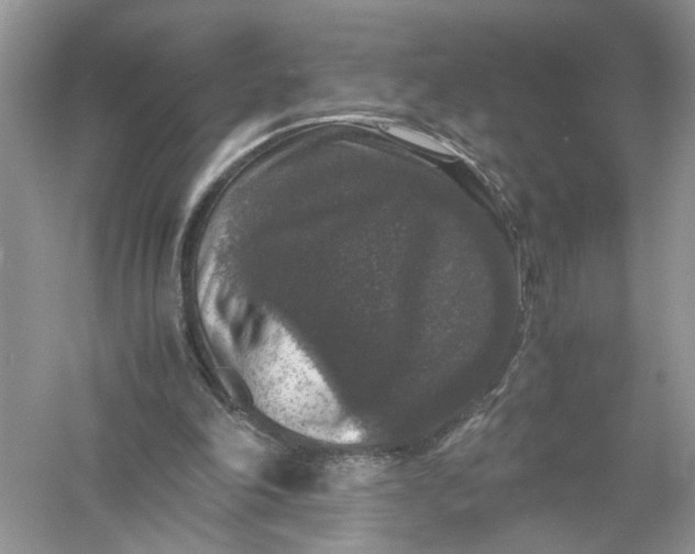 X0000055980198200509092002