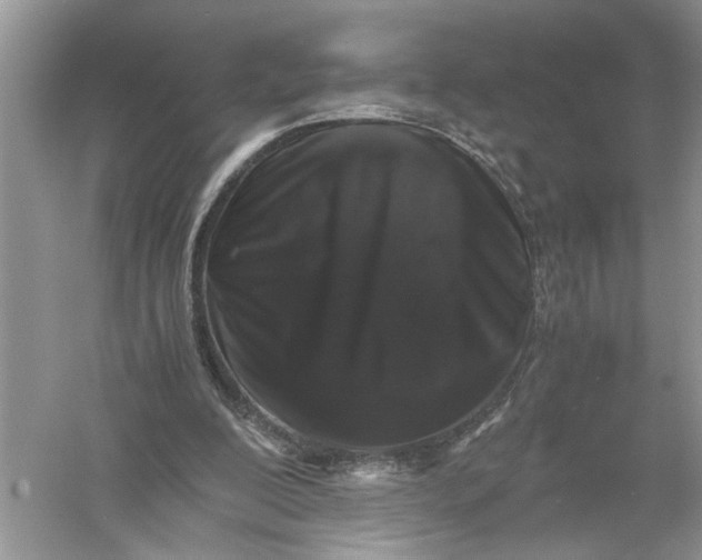 X0000055980200200509092002