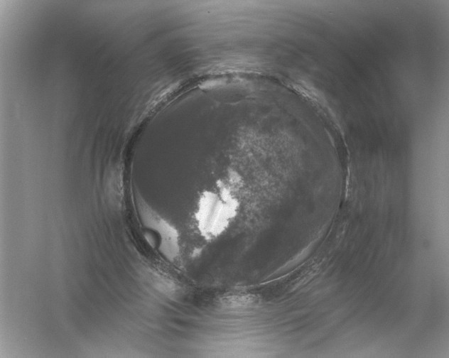 X0000055980202200509092002