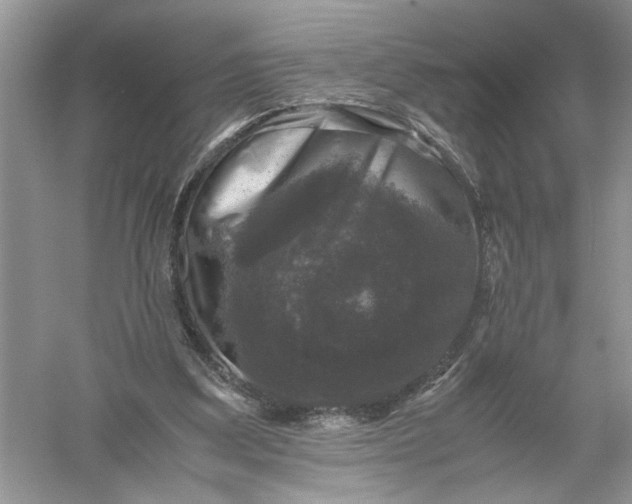 X0000055980203200509092002