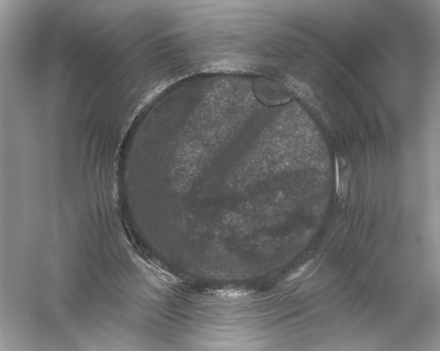 X0000055980204200509092002