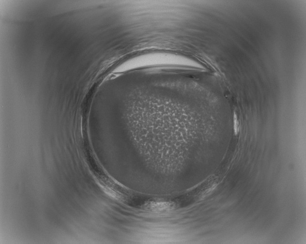 X0000055980205200509092002