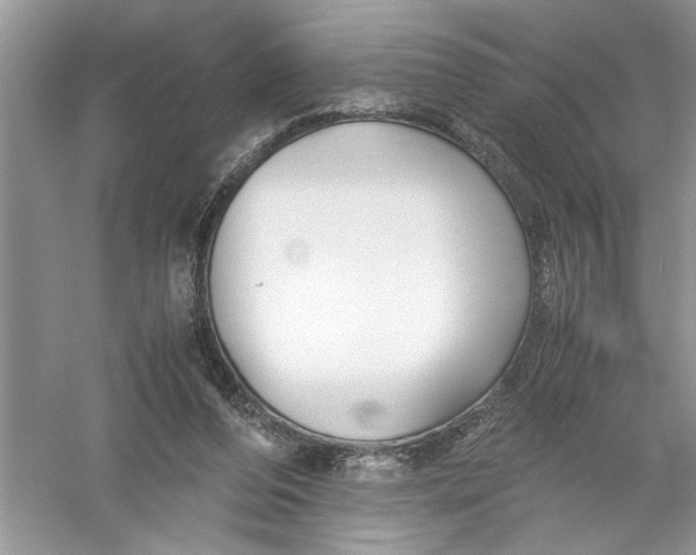 X0000055980208200509092002