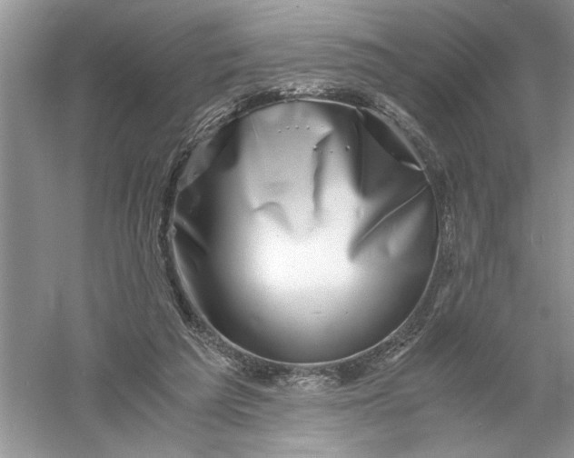 X0000055980209200509092002