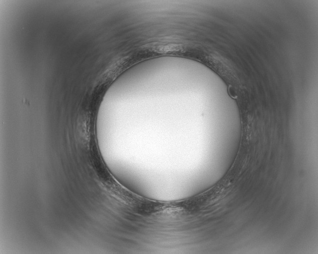 X0000055980210200509092002