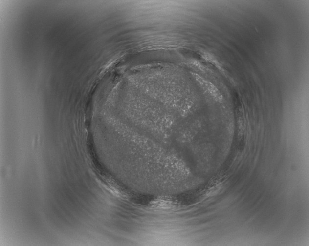 X0000055980211200509092002