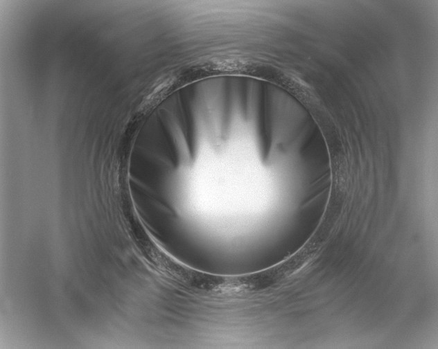 X0000055980213200509092002