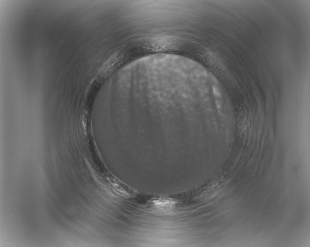 X0000055980214200509092002