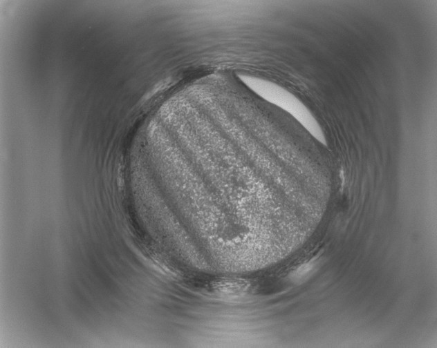 X0000055980215200509092002