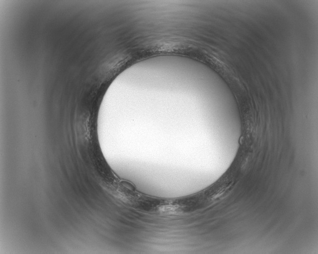 X0000055980216200509092002