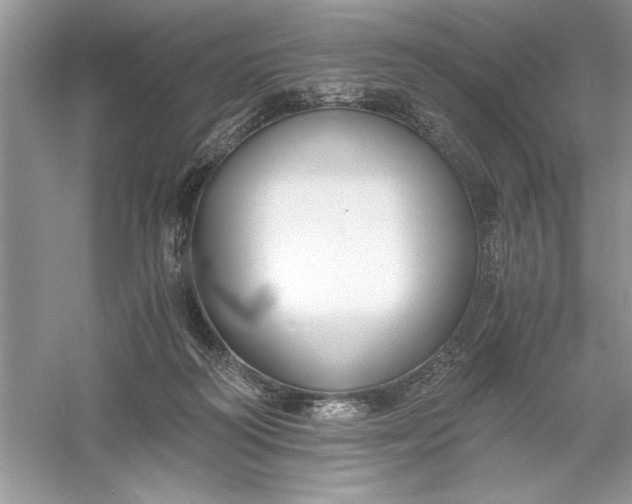 X0000055980218200509092002