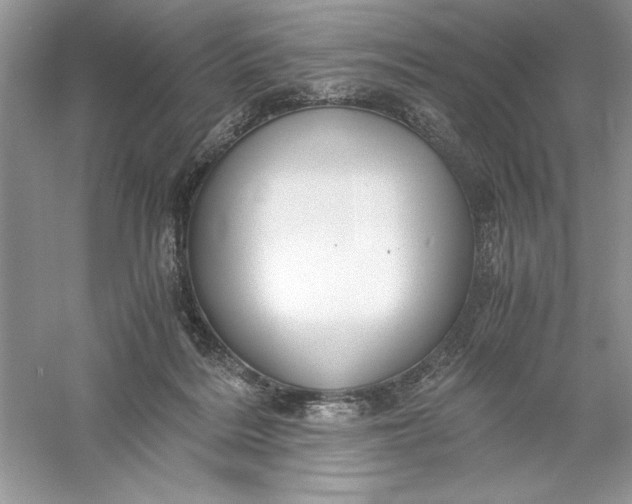 X0000055980220200509092001