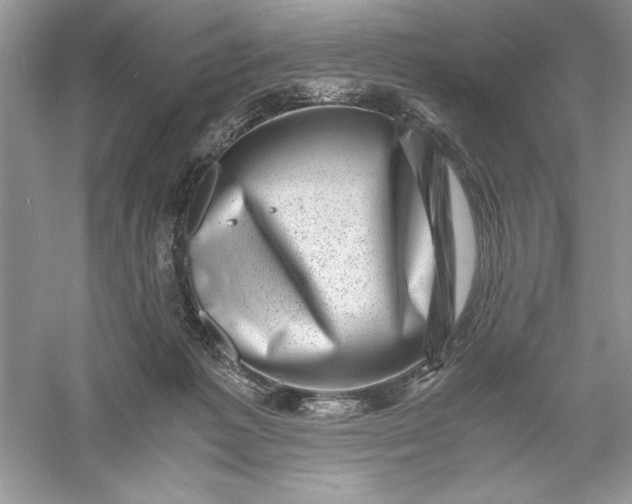 X0000055980221200509092001