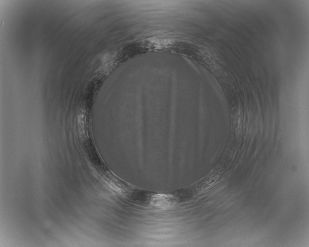 X0000055980222200509092001