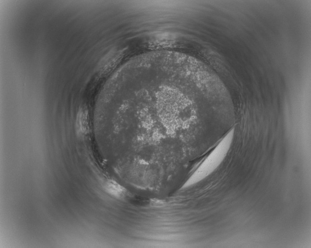 X0000055980224200509092001