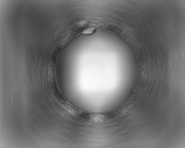 X0000055980226200509092001