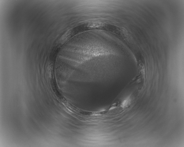 X0000055980227200509092001