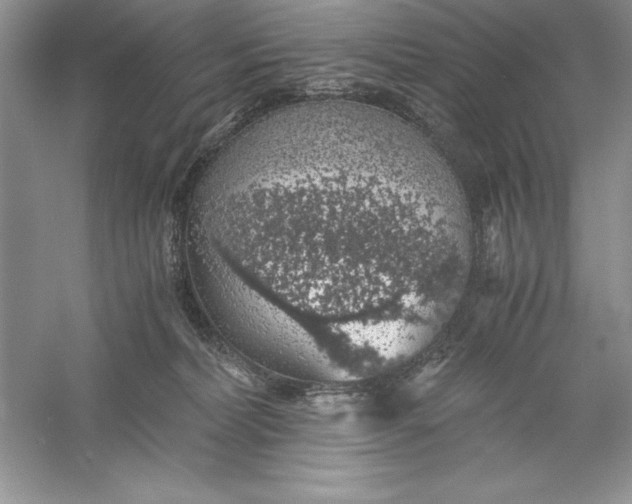 X0000055980228200509092001