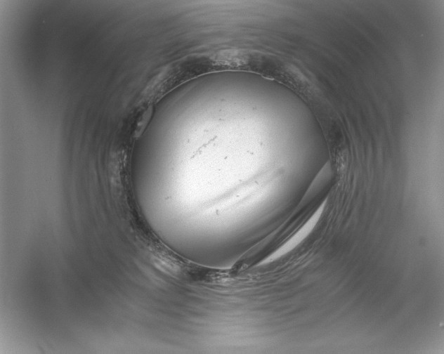 X0000055980229200509092001