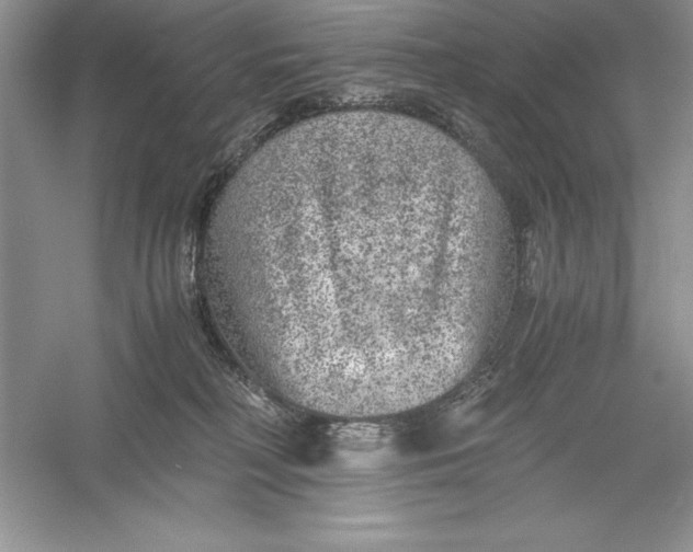 X0000055980230200509092001